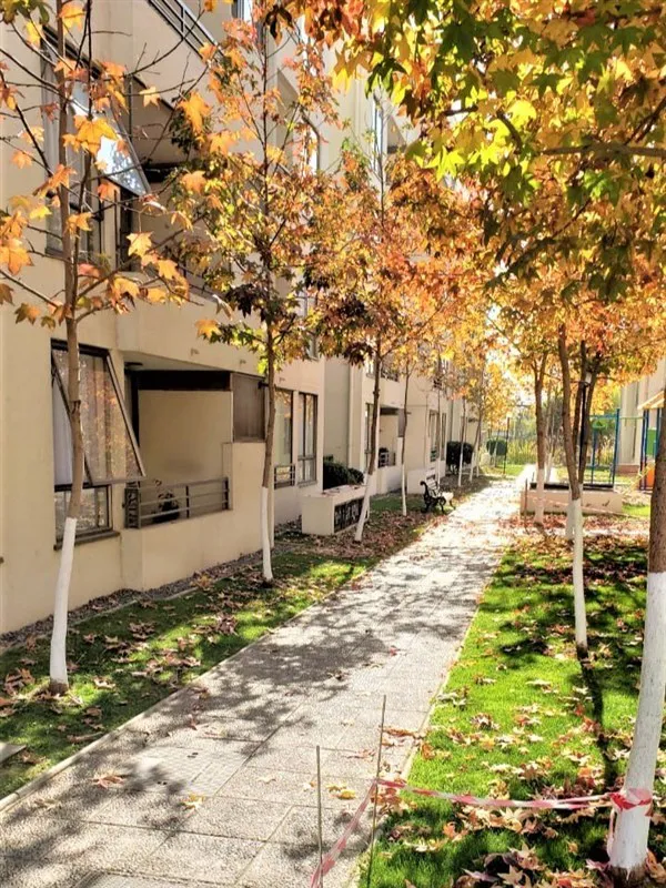 Departamento en arriendo en La Florida — foto 1